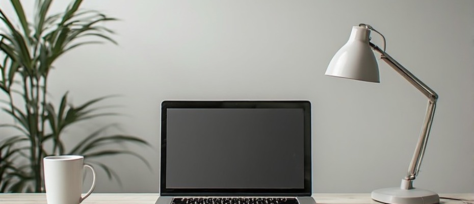 Португалия. Выход из компании